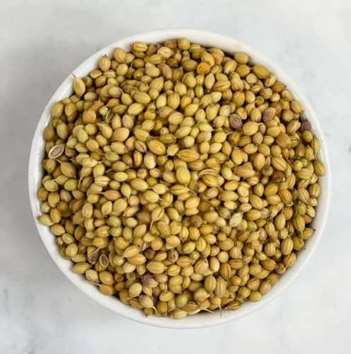 Coriander Seeds Badami