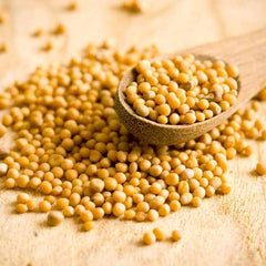 Mustard Seeds Yellow