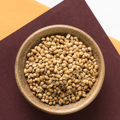 Coriander Seeds Green